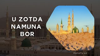 U zotda namuna bor