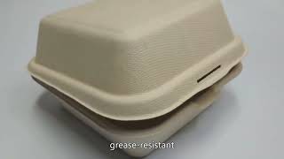 Bagasse food container,bagasse tableware,biodegradable container,Chinese maker,Best