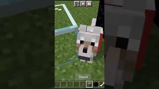 minecraft dogs hacks in 2022 #short #minecraft #hacks