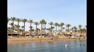 OLE' CLUB SETI SHARM - Sharm el-Sheikh