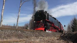 Frühlings Erwachen im Harz die Harzer Schmalspurbahn 12.03.2022