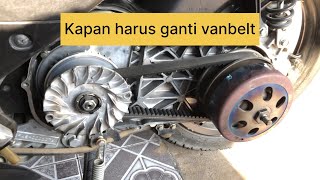 Kapan harus ganti vanbelt