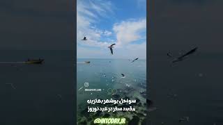 #ساحل_بوشهر در ایام #عیدنوروز۱۴۰۳ ⛱️