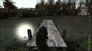 DayZ- dolphin dive version