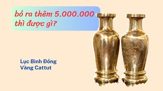 Lục Bình cattut hoa văn nào đẹp?