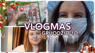 VLOGMAS 2020 #1 ~ Gruodžio 1d. ~ Knygų mainai, Kalėdų dekoracijos, apgavikė Salvinija Kuodytė...