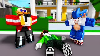 How Pop Cat Turn Into SONIC The Hedgehog? - ROBLOX Brookhaven 🏡RP Funny Moments