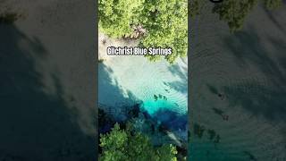 Essas piscinas ficam pertinho de Orlando e são SURREAIS! Gilchrist Blue Springs, em Gainesville