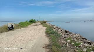 Mencari Kerang Mutiara pada Saat Laut Surut