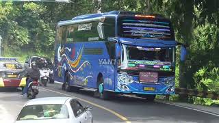 BUS ARTIS TELOLET BASURI NGEREM CESS CESS SAMBIL NGEBASURI