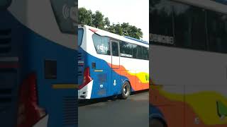 Bis LAJU PRIMA jetbus 3 menuju bojonegoro #bismaniacomunity #videoshort