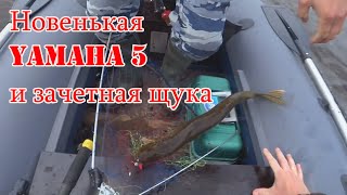 Ямаха 5 и немного рыбалки