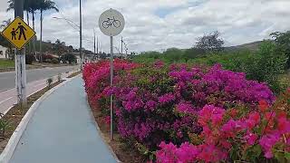 A primavera chegou na Chapada Diamantina