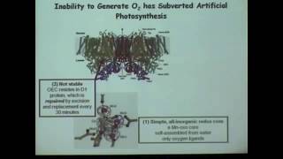 Daniel Nocera, MIT, "The Chemistry of Renewable Energy" (2008)