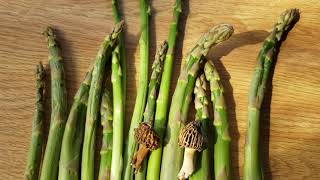 Wild Asparagus Morels 2021