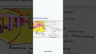 The Quick and Easy Way to Remember Essential Amino Acids ! Mnemonics @Easemedical