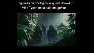 Mike Tyson vs gorila