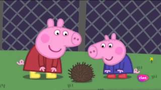 Peppa pig - animales nocturnos español latino