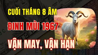 Tử vi tuổi Đinh Mùi 1967, Vận may và vận hạn của quý tín chủ từ giờ đến cuối tháng 8 âm lịch