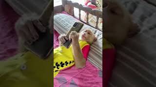 monkey in bed | monkey uses social media