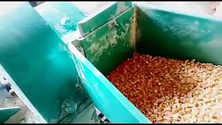 CATTLE FEED GRINDER MACHINE | PILOT AGROTECH | MO. 9099997758