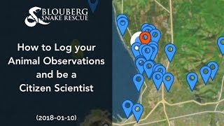 How to log your Animal Observations and be a Citizen Scientist (20180110)