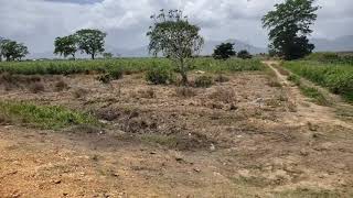 (# 119) 2 Acres Agricultural Land in Caroni/Warrenville Area.  Asking: $350,000  Contact:747-5423