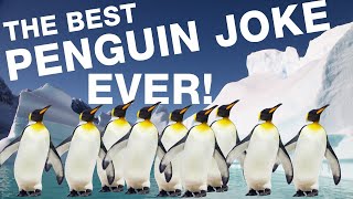 The BEST penguin joke you'll ever hear! 🐧🐧🐧 #WorldPenguinDay