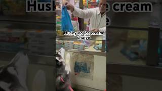 Husky ko Ice cream chiaye😍#shots #shortsviral #shortvideo