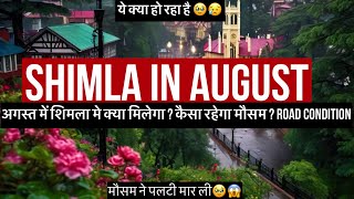 Shimla in August | Shimla weather in august | Road conditions | Shimla is safe?