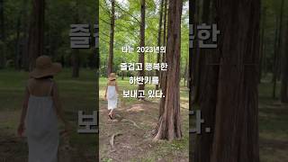 2023년 남은 하반기 술술 풀리는 비법| 긍정확언 |말하면 이루어진다 |명상 |성공습관