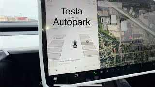 Tesla Autopark self parking 2024 Model Y trial