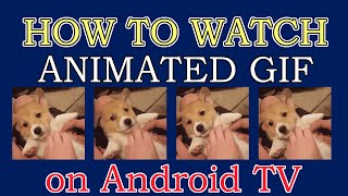 How to view animated GIF images on Android TV/MiBox/Nvidia Shield