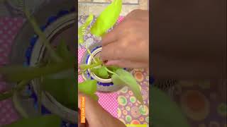 Water Planter Using An Old T Light Holder #diy #claycraftcorner #shortsvideo