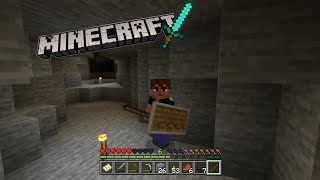 Minecraft survival(sort used tp and other things)