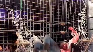 Czw cage of death