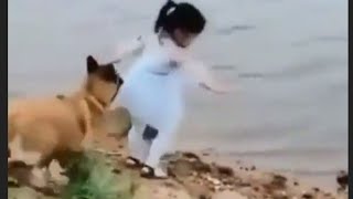 Dog saves girl and gets her ball out the water (voice over)video‼️🤯👏🏾