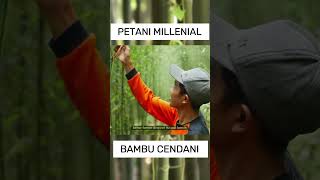 SUKSES MEMAJUKAN PEREKONOMIAN DI DESANYA DARI BERTANI BAMBU CENDANI #milenial #kisahinspiratif