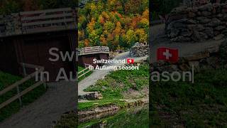 Switzerland in Autumn in surreal 🤩 #switzerland #swiss #youtubeshorts @MySwitzerland