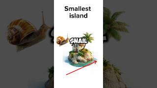 Smallest VS Biggest island 🏝️ Who wins? ⚡