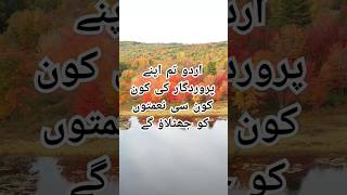 فا بي اي الاء ربكما تكذبان۔ اور تم اپنے پروردگار کی کون کون سی نعمتوں کو جھٹلاؤ گے۔ #quran#status