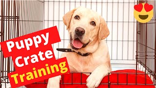 How to Crate Train your Puppy Step-by-Step? Effective Puppy Crate Training Schedule