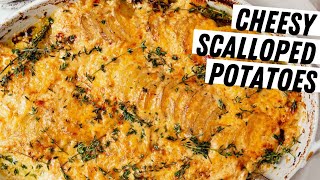 Cheesy Scalloped Potatoes