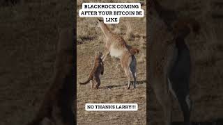 BLACKROCK GOING AFTER YOUR BITCOIN BE LIKE #cryptohumor #crypto #bitcoin #mountainlion #shorts