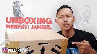 UNBOXING BURUNG MERPATI JAMBUL BLANTONG MAKNYUSS !!