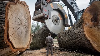 Incredible Fastest Biggest Tree Cutting Equipment Working - Dangerous Tree Stump Destroy Machine