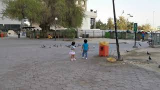 Birds at UTC, Kuwait City