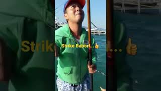 #shorts Strike Baronang Babon