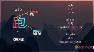 Aprende el radical de "Pie"| Escritura China