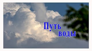 Путь воды. Путешествие молекулы воды в почти бесконечном цикле